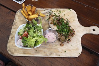 Vegetarian dish with chips and salad served on a wooden board, Bavaria, Germany, Europe