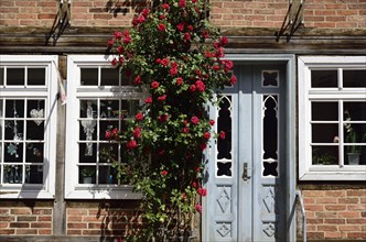 Europe, Germany, Mecklenburg-Western Pomerania, Bützow, half-timbered house with hollyhocks,