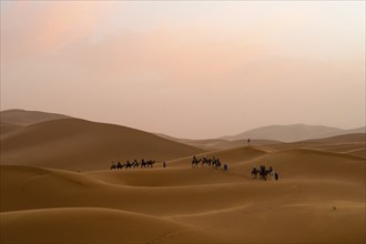 Sunset in the desert, camels and tourists, dunes, Erg Chebbi, Sahara, Merzouga, Morocco, Africa