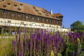 Council or council building, Constance on Lake Constance, Baden-Württemberg, Germany, Europe