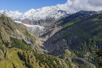 The UNESCO Panorama Trail from Belalp to Riederfurka with views of the Aletsch Glacier, Tourism,