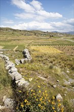 Landscape with dry stone walls and straw sheaves on the Chuicuito peninsula on Lake Titicaca, Puno