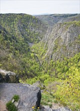 Deep gorge surrounded by forest and steep rock faces, view from the Hexentanzplatz Thale into the