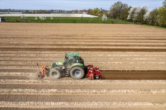 A farmer builds asparagus ridges on a field with the help of an asparagus tiller, in which the