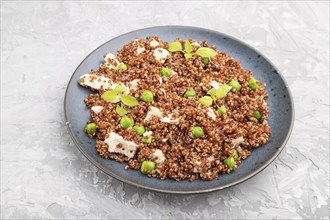 Quinoa porridge with green pea and chicken on ceramic plate on a gray concrete background. Side