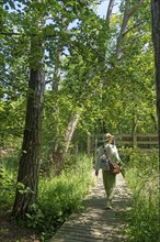 Wooden footbridge, trees, viewing platform, woman, circular hiking trail, Darßer Ort, Born a. Darß,