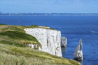 White Cliffs of Old Harry Rocks Jurassic Coast, Dorset Coast, Poole, England, United Kingdom,