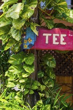 Tea, tea sale, shop, tea room, sign, information, café, gastronomy, drink