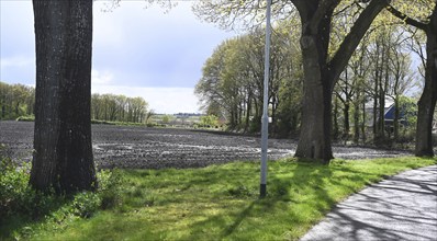 NL, Eesergroen: Spring characterises the landscape, towns and people in the province of Drenthe in