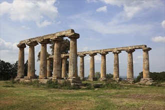 Metaponto, Metaponte, Doric hera temple, Tavole Palatine, Basilicata, Italy, Europe