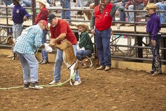 Oklahoma City, Oklahoma, The Great Plains Rodeo, an annual gay rodeo that features traditional