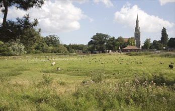 Mistley Place Park tourist attraction and parish church, Mistley, Essex, England, United Kingdom,