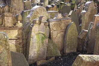 The Old Jewish Cemetery in the Josefov district is one of the most historically significant Jewish