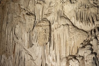 Stalactites in a stalactite cave, Terciopelo Cave, Barra Honda National Park, Costa Rica, Central