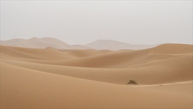 Sandstorm in the desert, dunes, Erg Chebbi, Sahara, Merzouga, Morocco, Africa