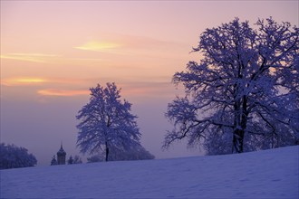 Sunrise with hoarfrost in winter, at the Schlossberg, Eurasburg, Loisachtal, Upper Bavaria,