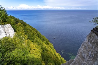 Chalk cliffs of Rügen, Königsstuhl rock formation, in the Jasmund National Park, view of the Baltic