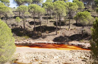 Blood red mineral laden water Rio Tinto river Minas de Riotinto mining area, Huelva province,