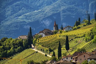 Landscape in the Adige Valley, in South Tyrol, above the village of Tramin, vineyards dominate the