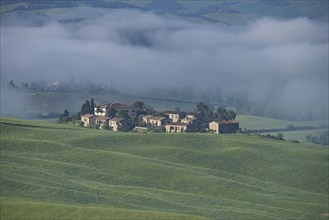 Landscape at sunrise around Volterra, Province of Pisa, Tuscany, Italy, Europe