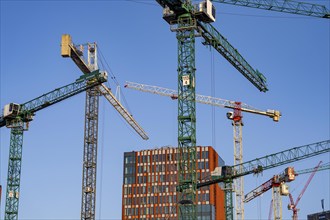 Construction sites in the east of Hafencity Hamburg, office building, new district on the Elbe, on