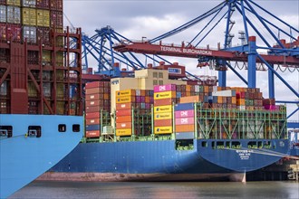 Magleby Maersk container freighter at EUROGATE Container Terminal, Waltershofer Hafen, one of the