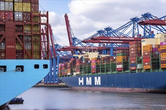 Magleby Maersk container freighter at EUROGATE Container Terminal, Waltershofer Hafen, one of the