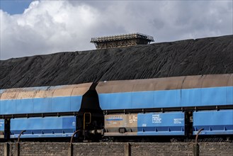 Coal storage, goods train, of the Prosper coking plant, operated by the ArcelorMittal steel group,