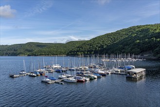 Lake Rursee, reservoir in the Eifel National Park, north-east bank near Heimbach, near the Rur dam