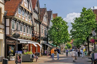 Zöllnerstrasse in the old town centre with typical half-timbered houses, Celle, Lüneburg Heath,