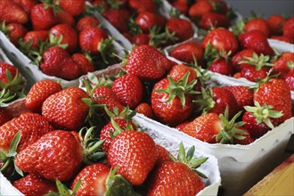 Fresh strawberries in the shop