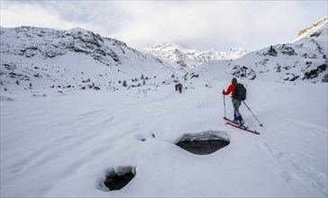 Ski tourers ascending in the rear Martell Valley, snow-covered mountain peak Monte Cevedale behind,