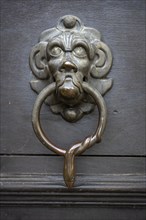 Lion's head, historical door knocker on a wooden door, Salem Castle, former imperial abbey, former