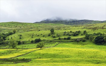 Farms in Yorkshire Dales National Park, North Yorkshire, England, United Kingdom, Europe