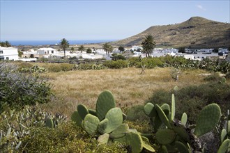 View over cactus plants and whitewashed houses, village of Maguez, Lanzarote, Canary Islands,