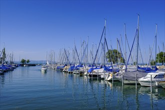 Harbour, Romanshorn on Lake Constance, Canton Thurgau, Switzerland, Europe