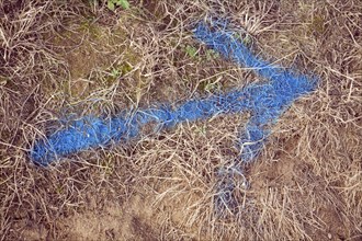 Blue arrow direction arrow sprayed on brown grass