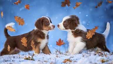 KI generated, dog, dogs, puppy, one, two, three, play, snow, winter, autumn leaves, blue sky,