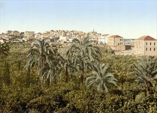 Jaffa, seen from the garden, Holy Land, Israel, c. 1890, Historic, digitally restored reproduction