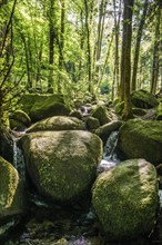 Geishöll waterfalls, Sasbachwalden, Ortenau, Black Forest, Baden-Württemberg, Germany, Europe