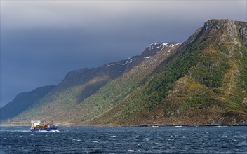 Container Ship NCL AVEROY, ALESUND, Geirangerfjord, Norway, Europe