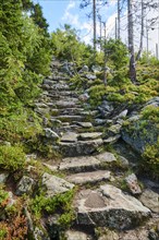 Stages on the hiking trail to Mount Lusen in late summer, Bavarian Forest, Bavaria, Germany, Europe