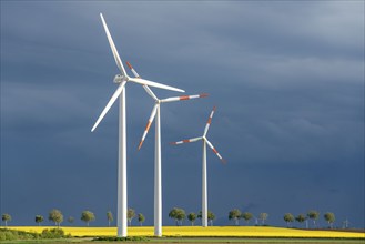 Wind turbines on a rape field, dark rain clouds, in the Rhenish lignite mining area, near