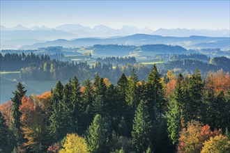 Emmental, Bernese Alps, Switzerland, Europe