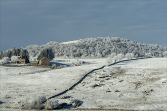 Aubrac plateau in winter. Lozere departement. Occitanie. France