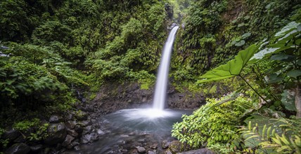 La Paz waterfall, waterfall in dense green vegetation, long exposure, Alajuela province, Costa