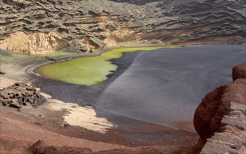 Green lagoon, Lago Verde, volcanic lake coloured green by algae on the lava beach, Charco de los