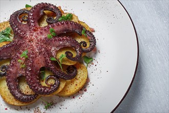 Octopus with potatoes and spices, on a light plate, top view, no people, homemade, close-up