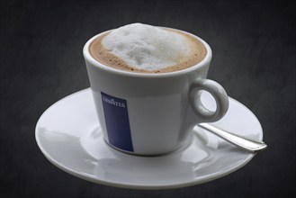 Cappuccino on a dark background, Bavaria, Germany, Europe