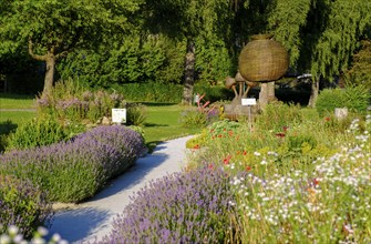 Herb garden, poppy garden, Waldviertel grey poppy, poppy village Armschlag, Waldviertel, Lower